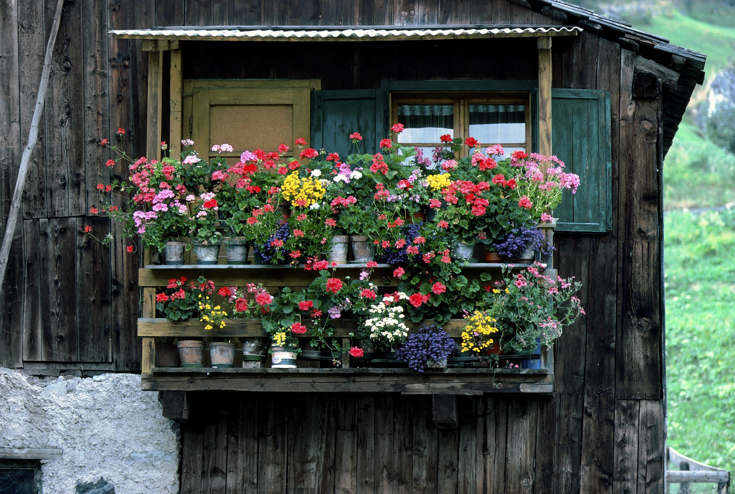 Tabià con balcone fiorito - 1983