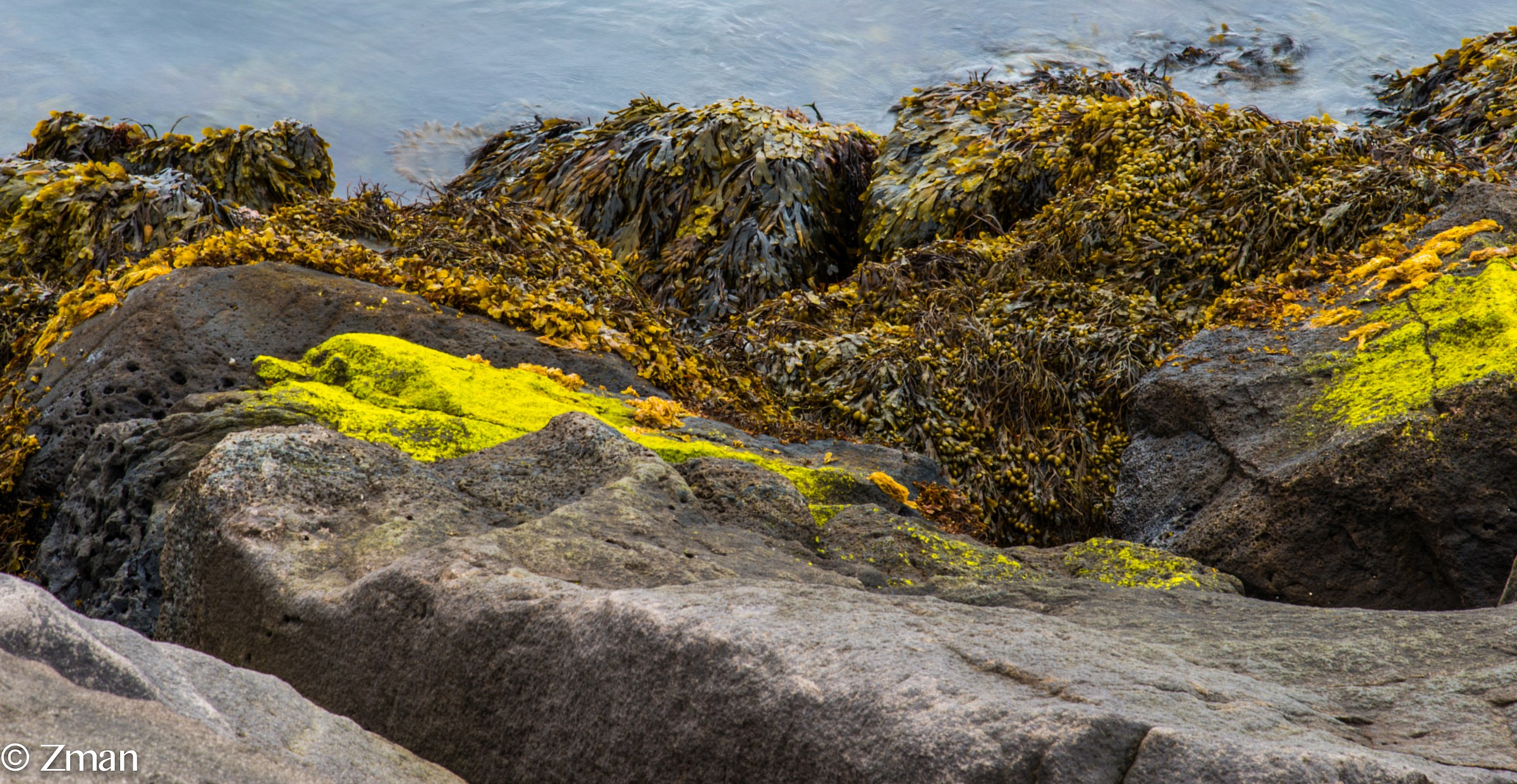 Shore Rock Protection