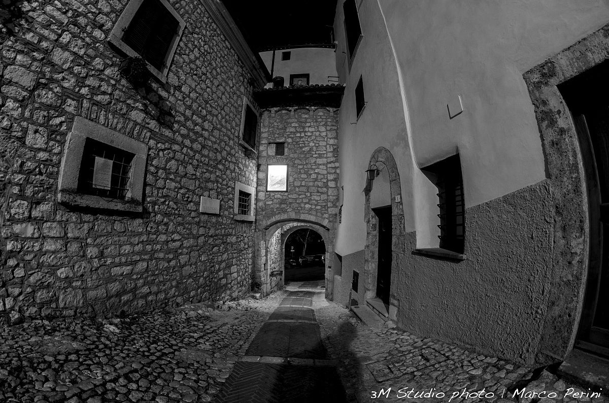 Fumone monocromatica