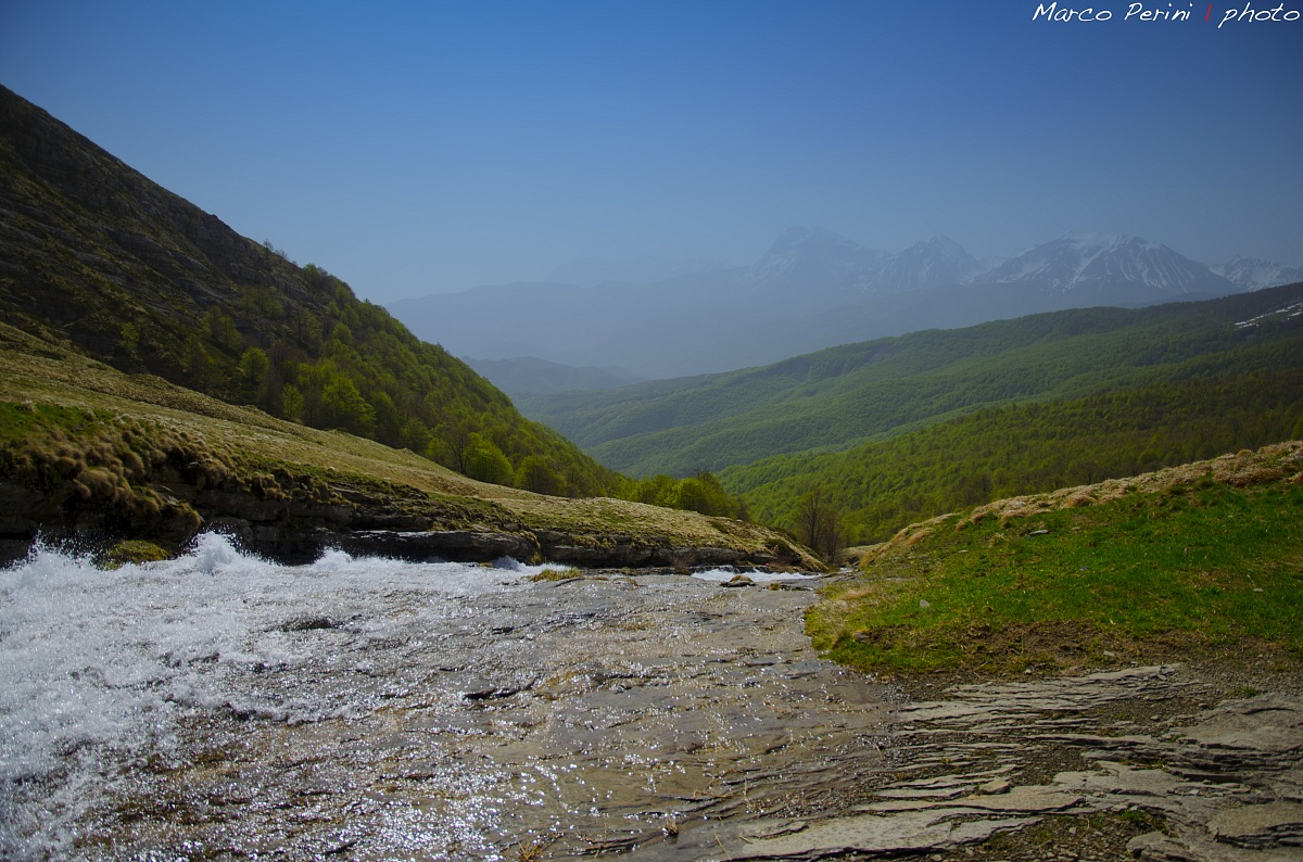 Cesacastina in primavera