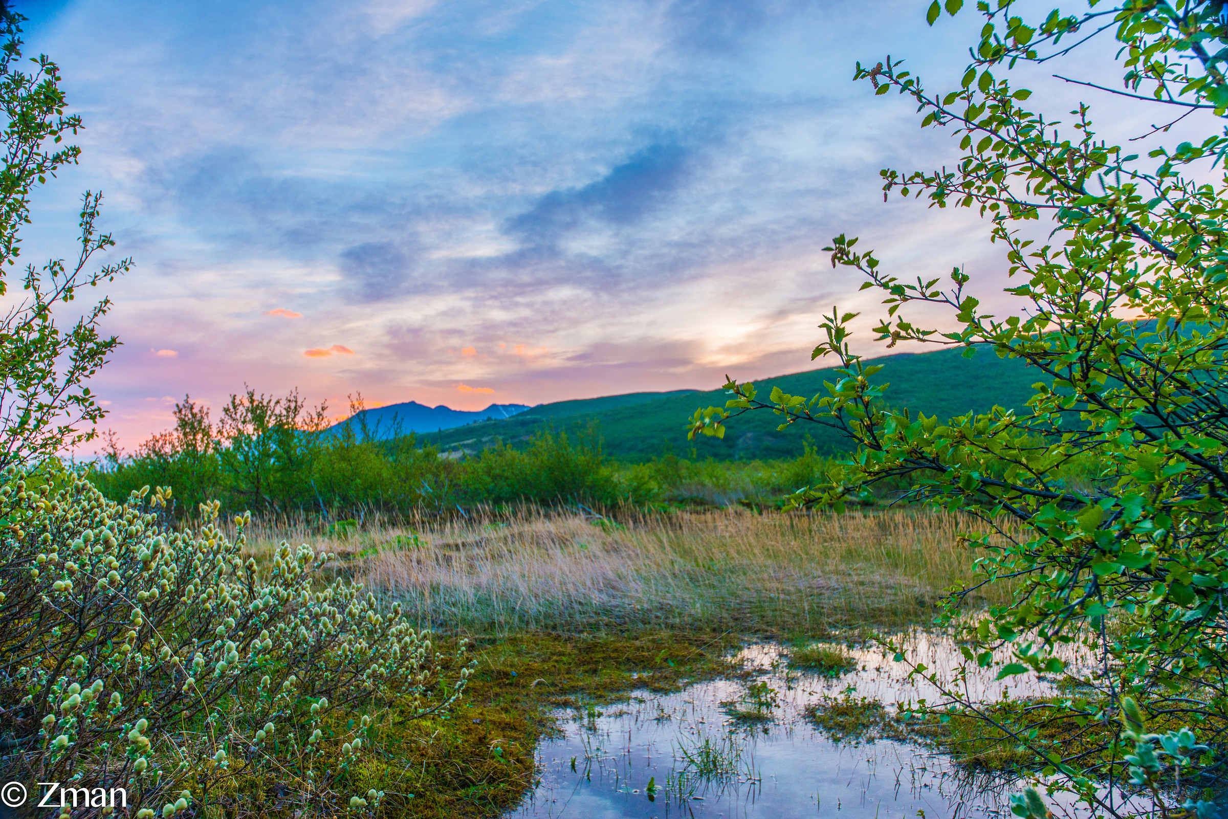On Our Way To The Glacier