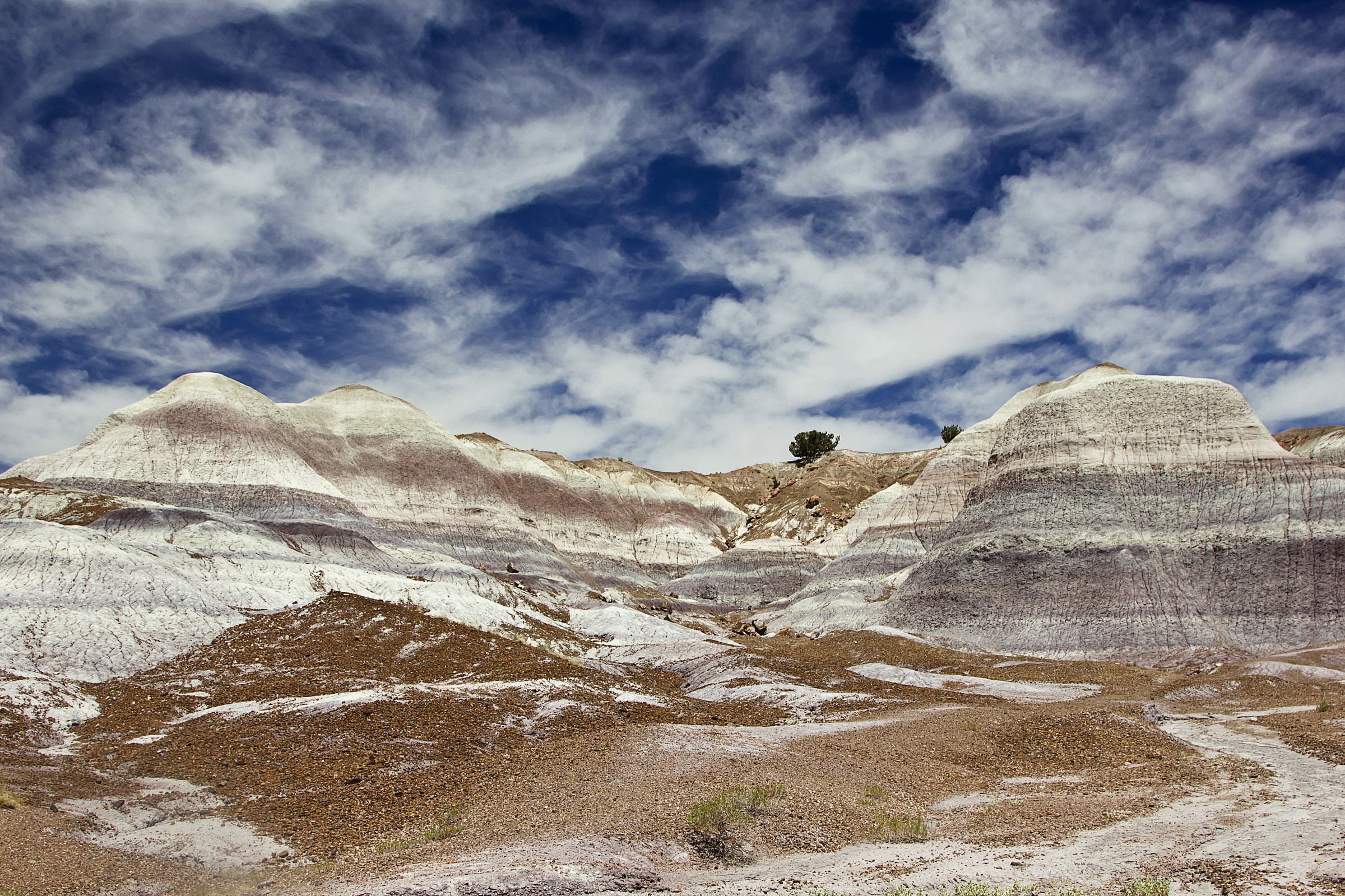 Pietrified Forest Blue Mesa