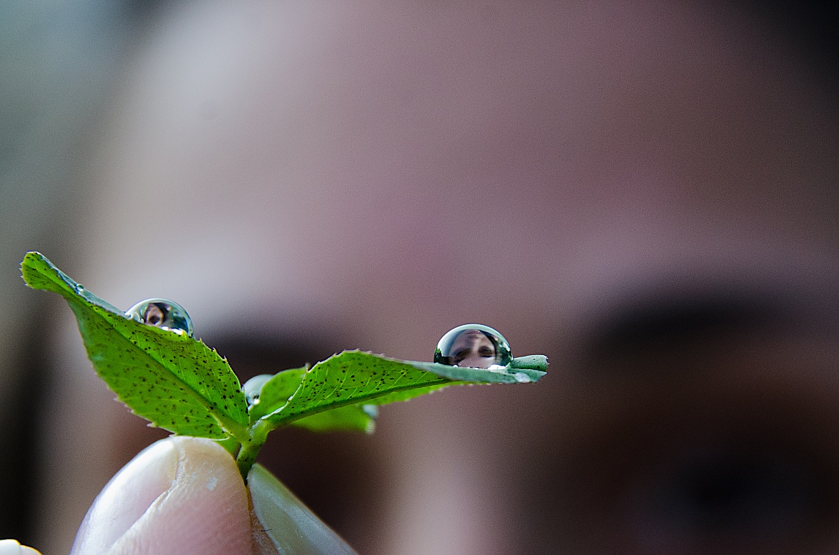 Reflections on the drops!