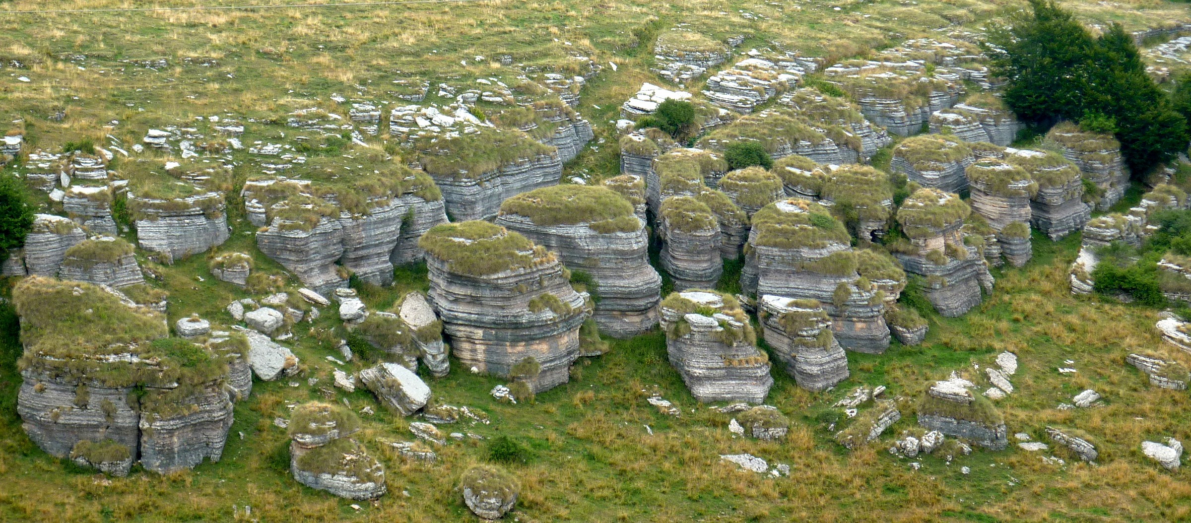 The rocks of Lessinia