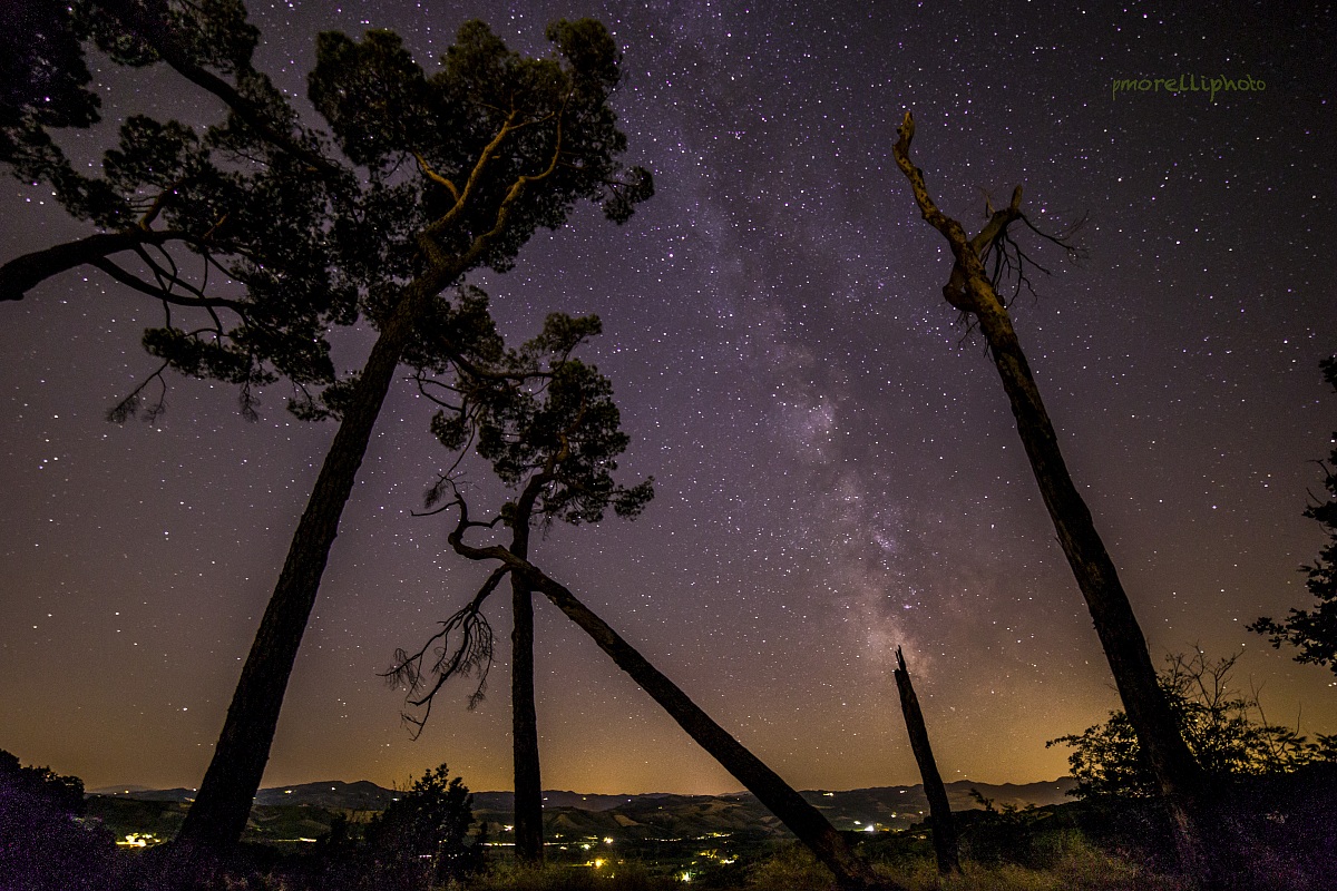 fivezerofive Olmatello