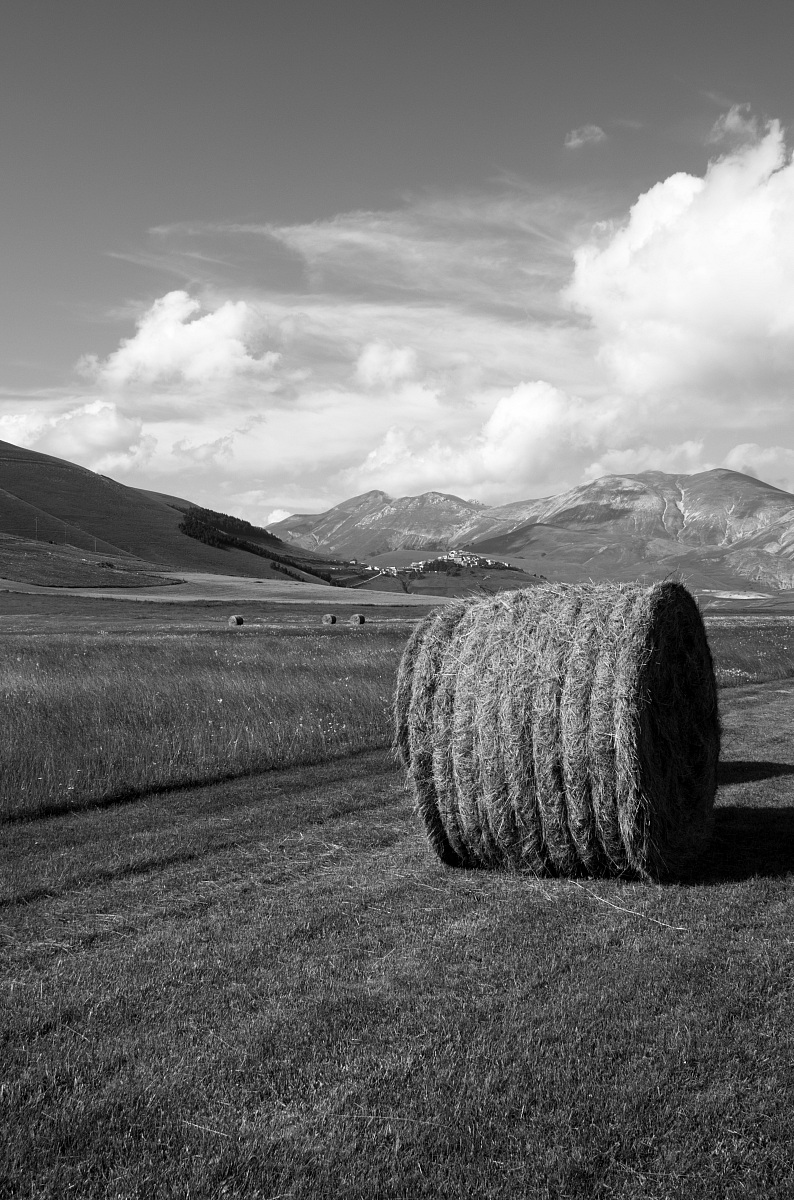 castelluccio