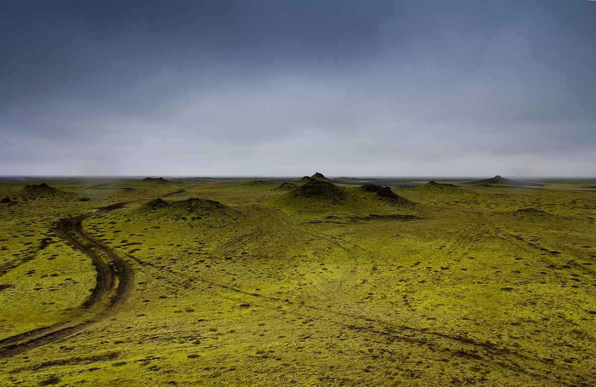 Myrdalssandur, plain moss