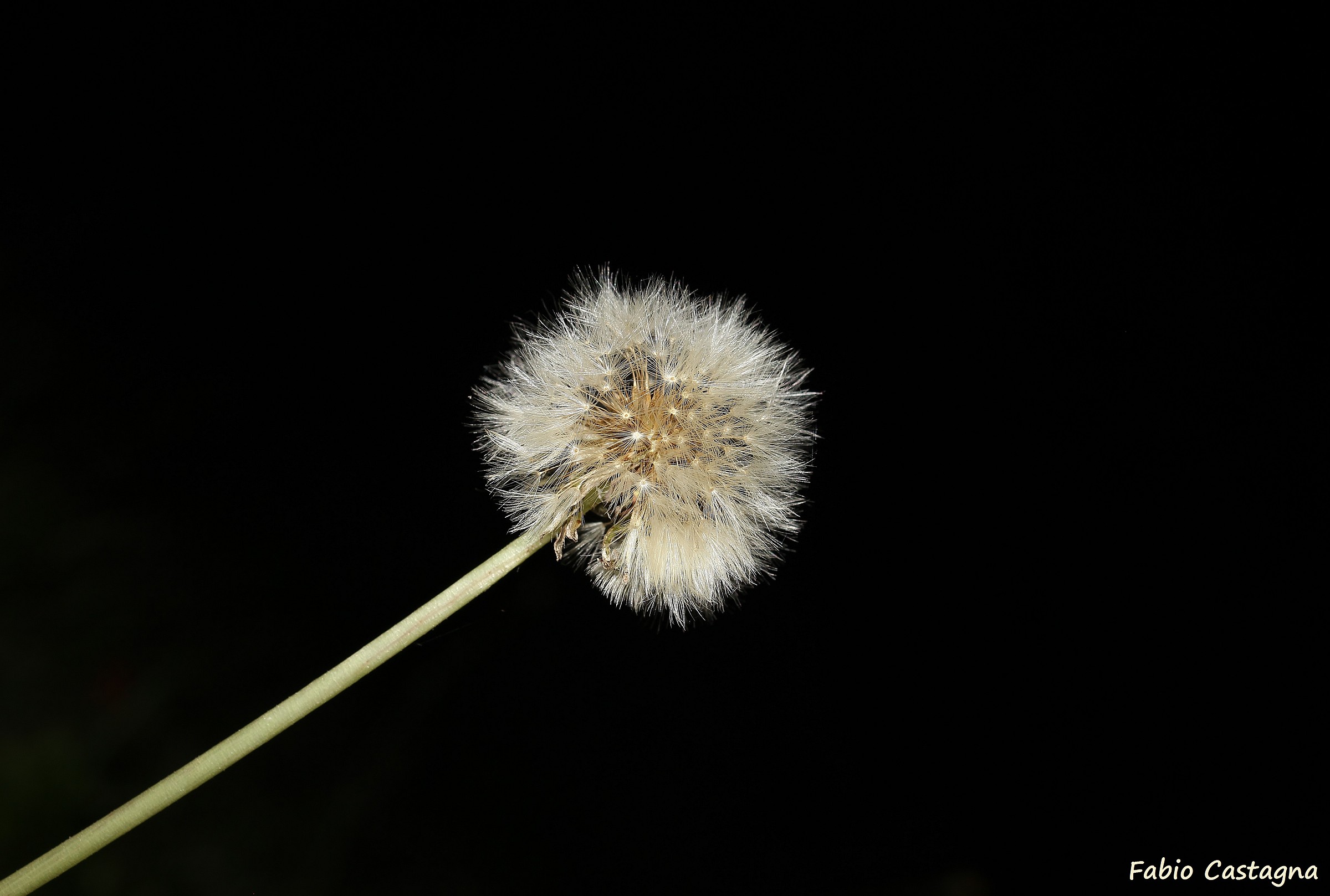 Waiting for a breath