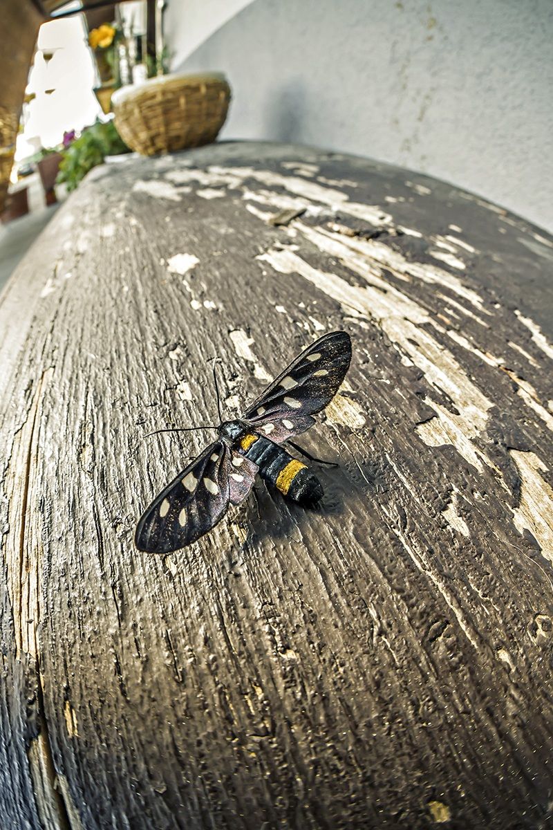 Pista di atterraggio