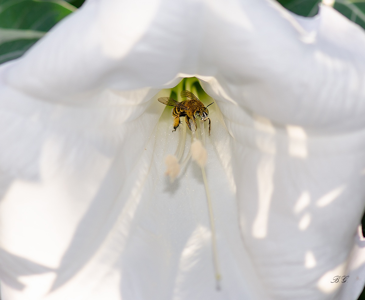 Qui ho mangiato tutto..