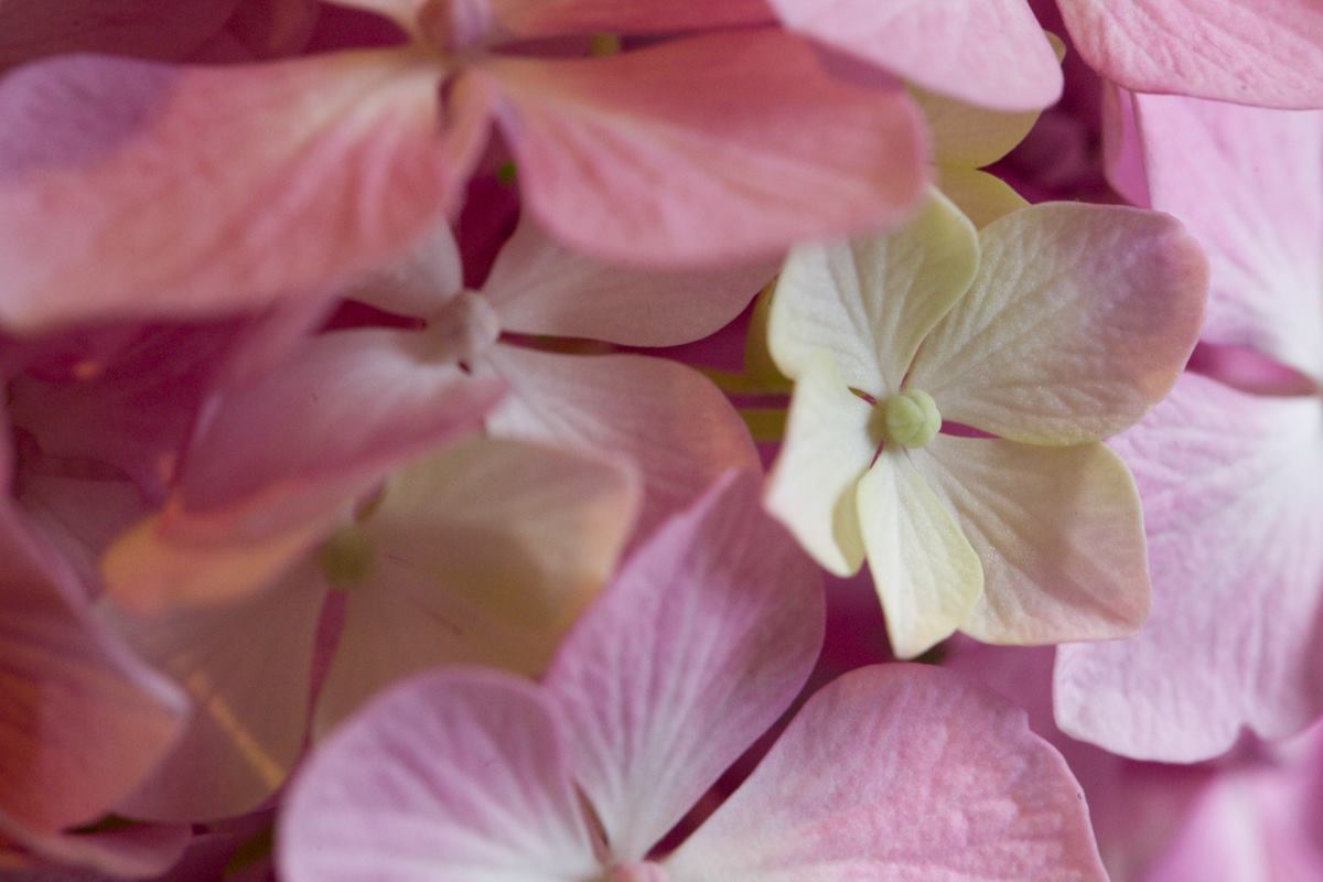 I'm not like all the others