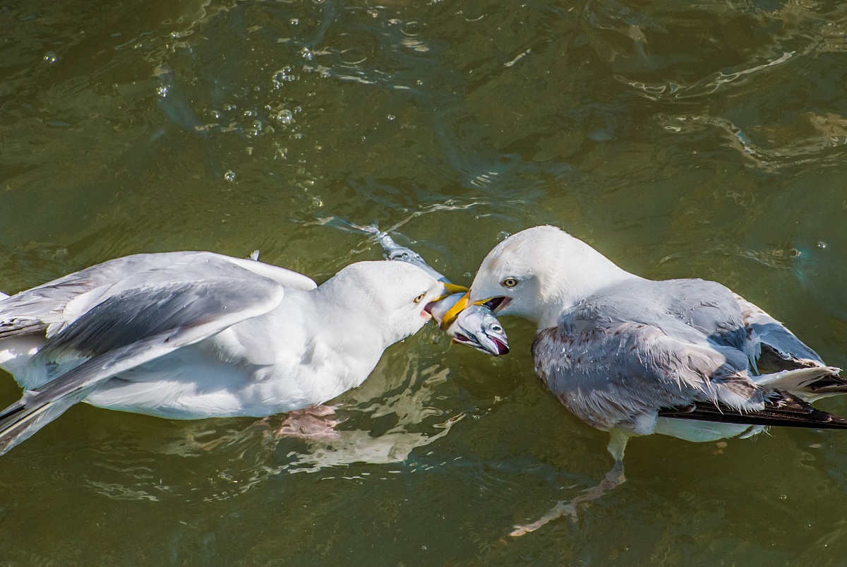 And 'my! No, it's mine!