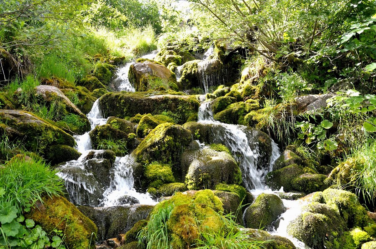 Piccolo torrente di montagna