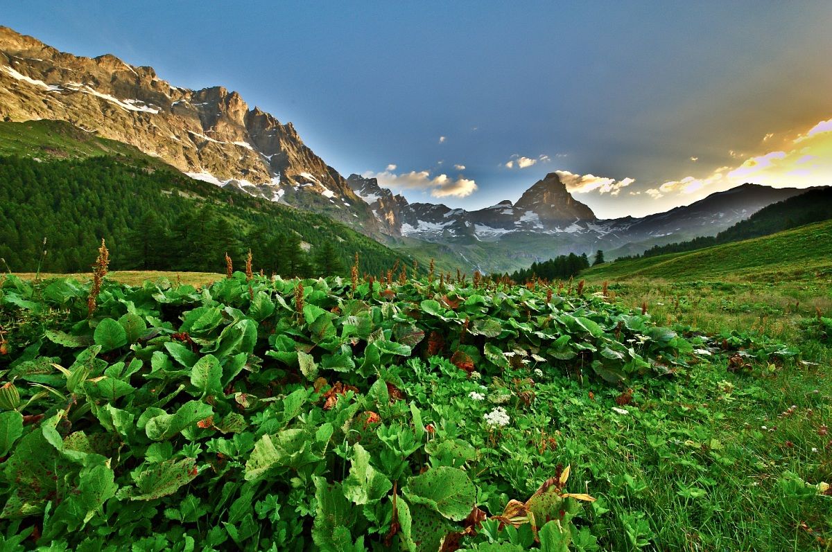 Destination Matterhorn ..