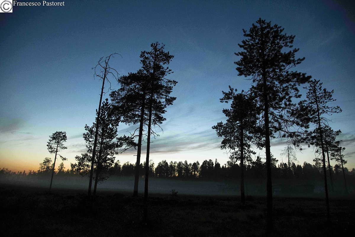 The shadows of Finland