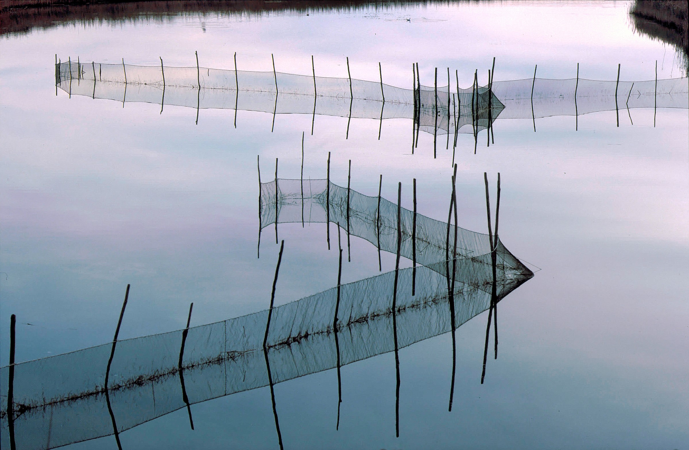 Delta del Po - Particolare al tramonto