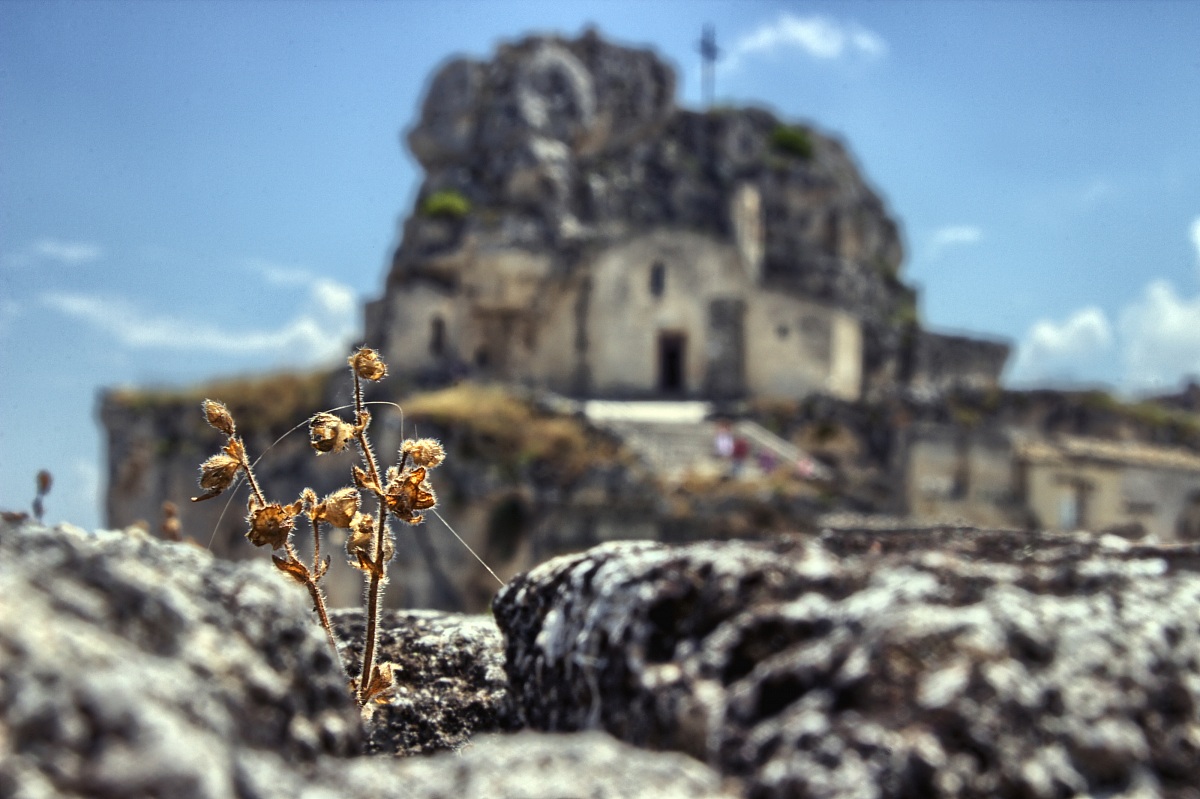 Small and large antiquities