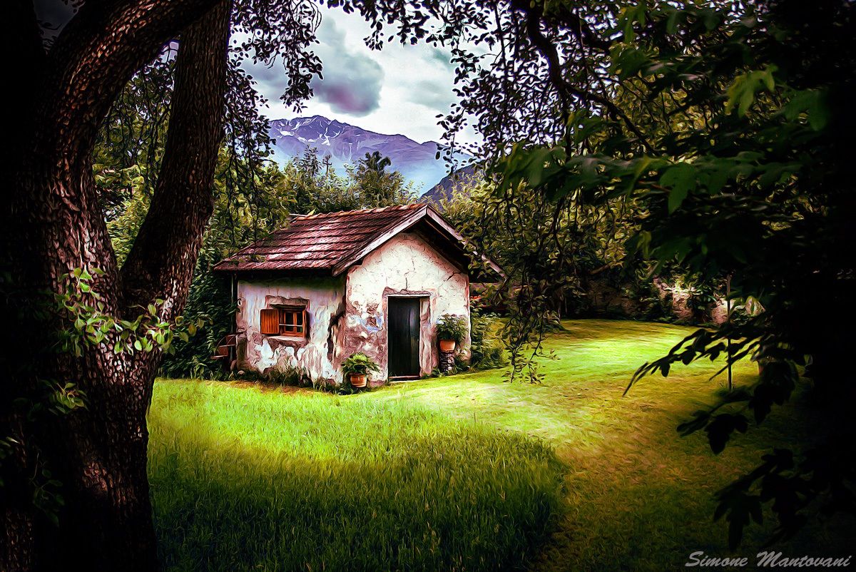 The little house in the woods