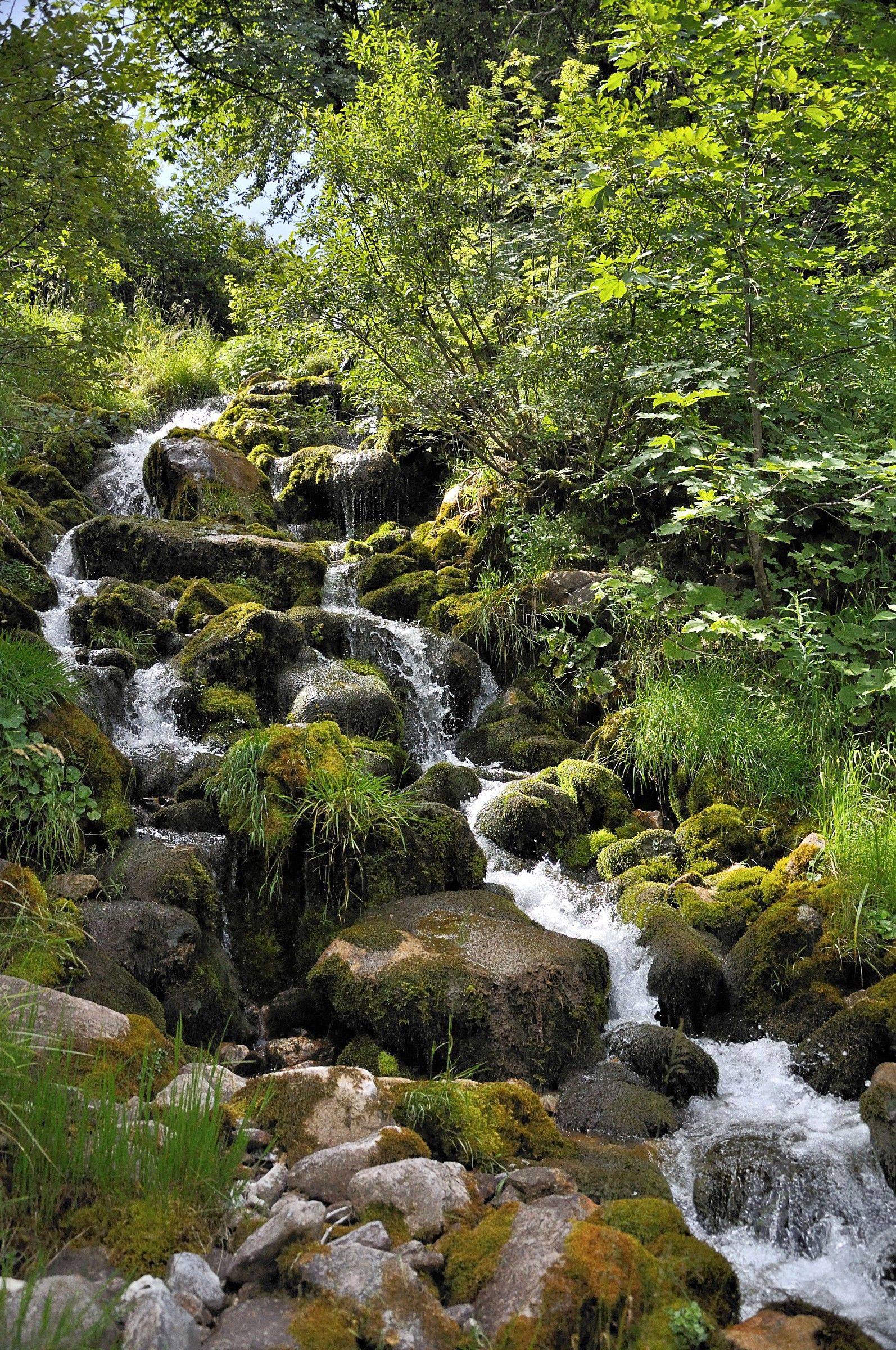 Piccolo torrente di montagna2
