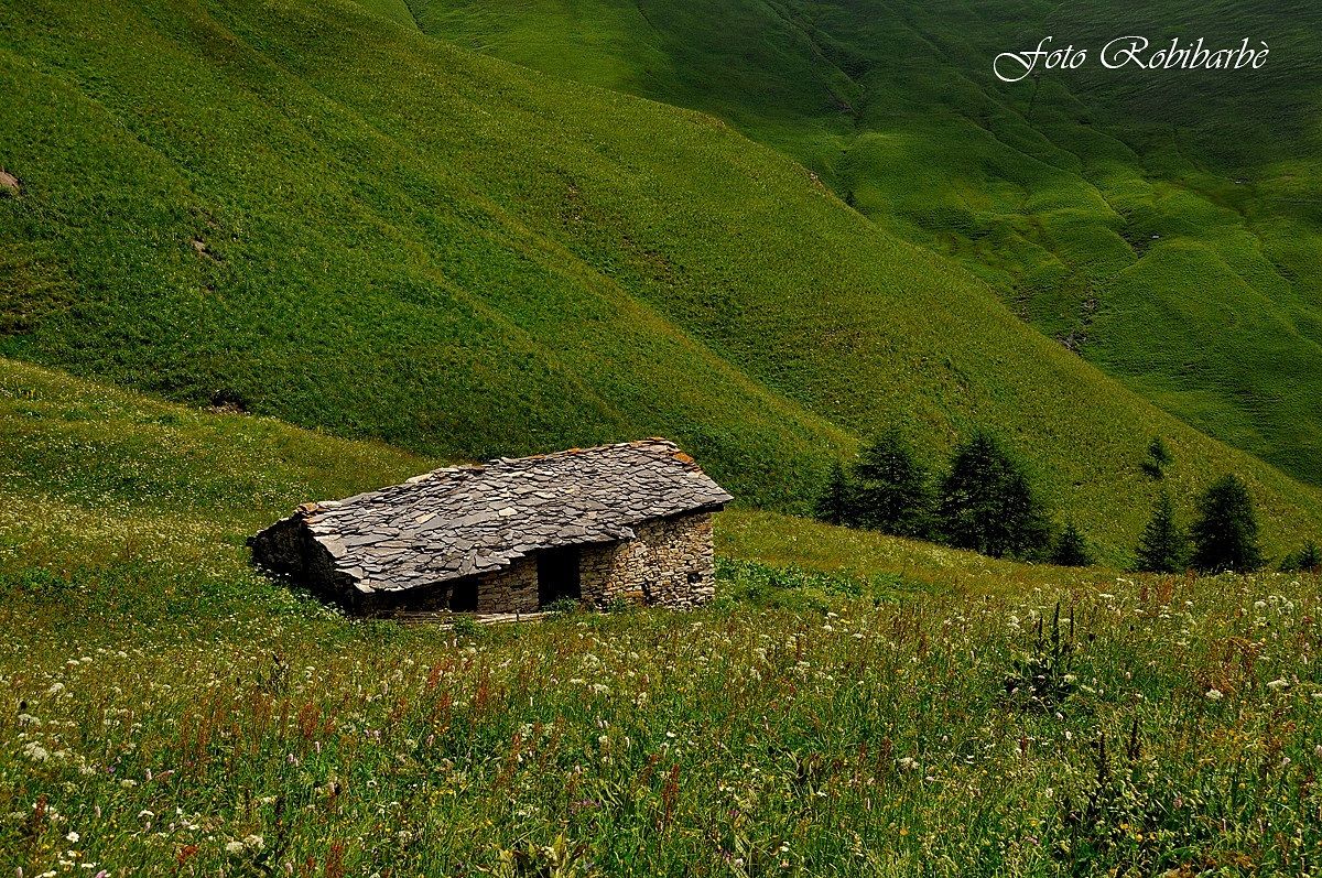 Il mondo dei vinti ........