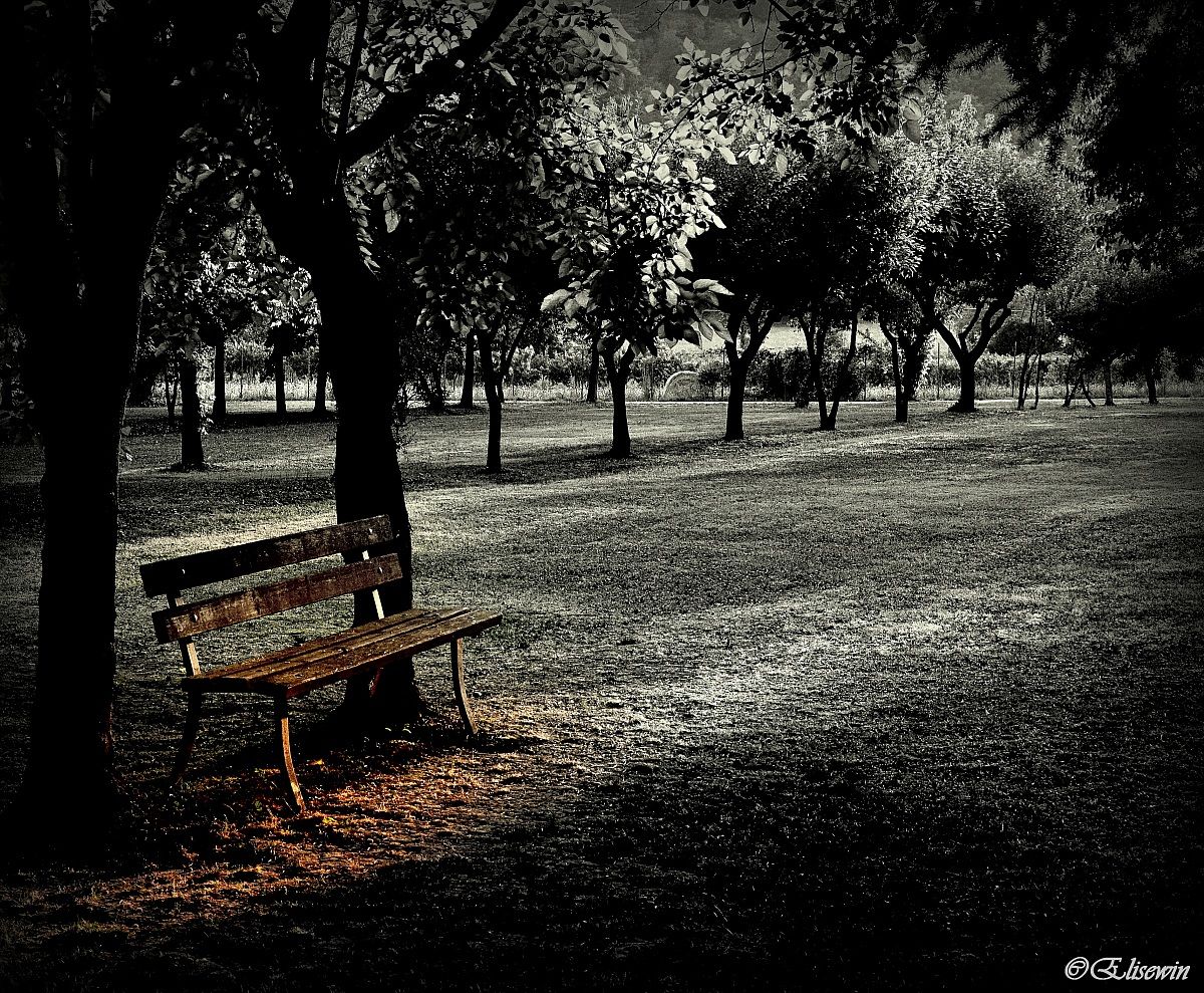 A single ray of light