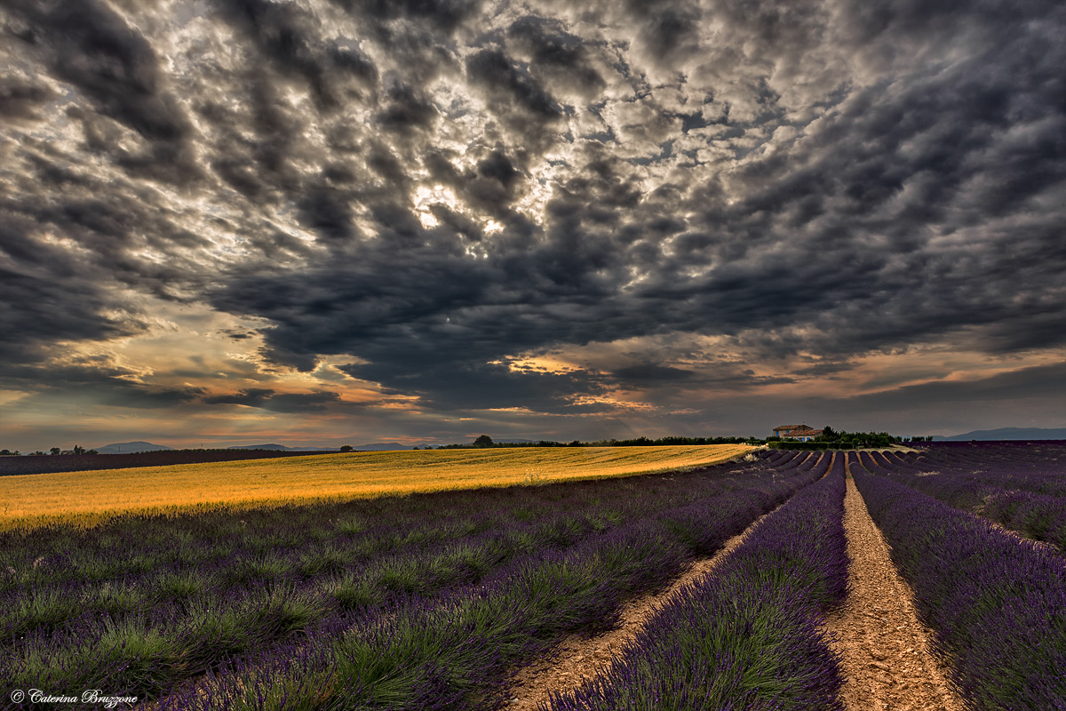 Here comes the storm