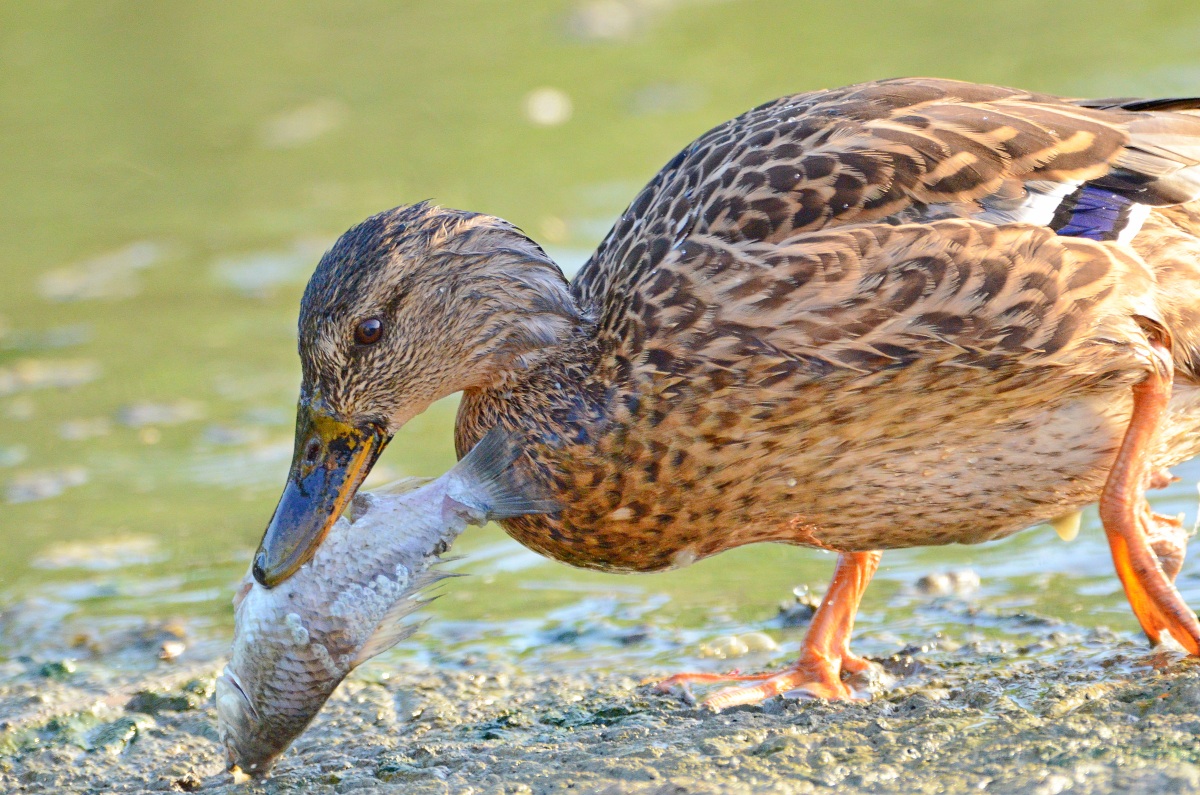 Il mondo è cambiato......