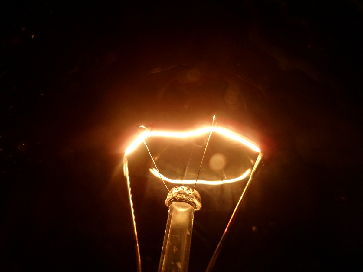 bulb