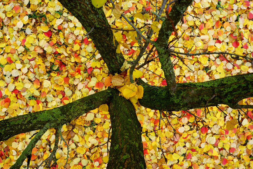 Autumn in Val d'Enza