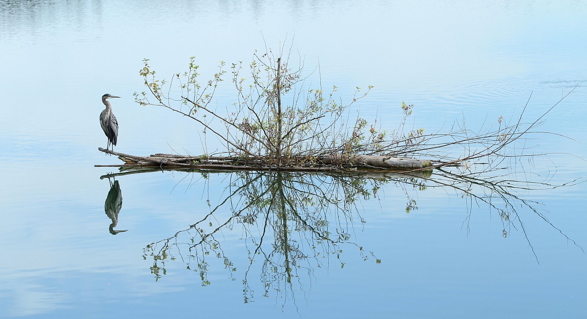 Raddoppia il piacere.
