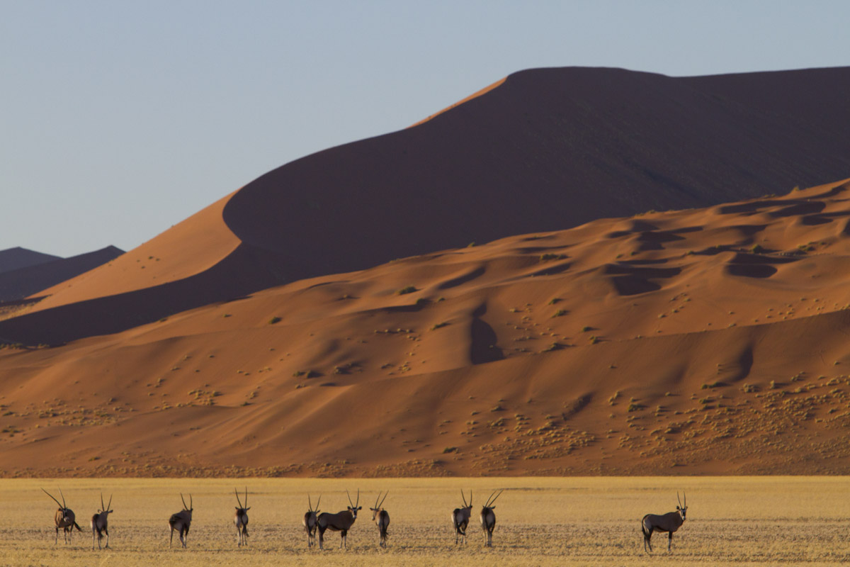 Namib Park Naulluft