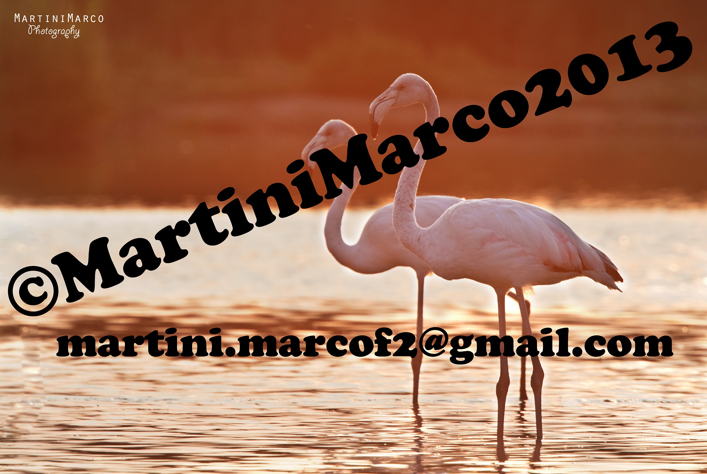 Baciati dal tramonto