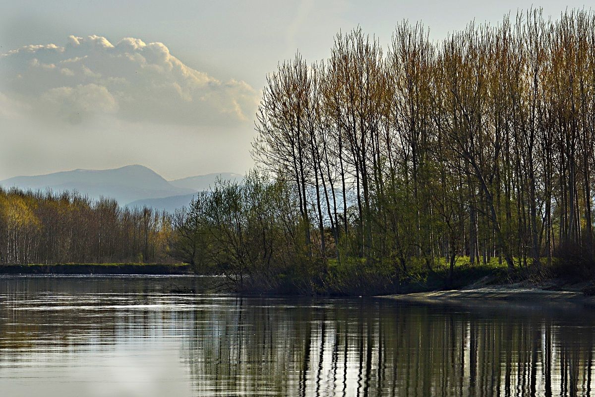 Il Po e l'Osero sullo sfondo