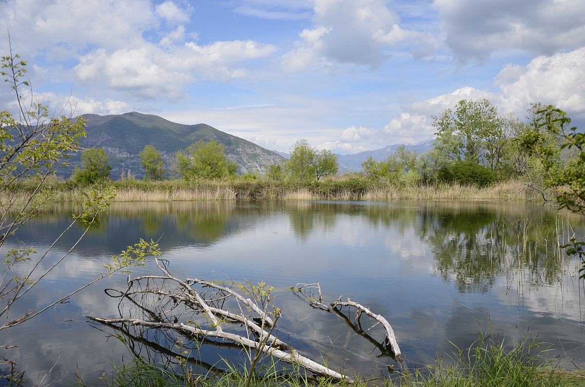 Riserva naturale protetta del Lago d'Iseo