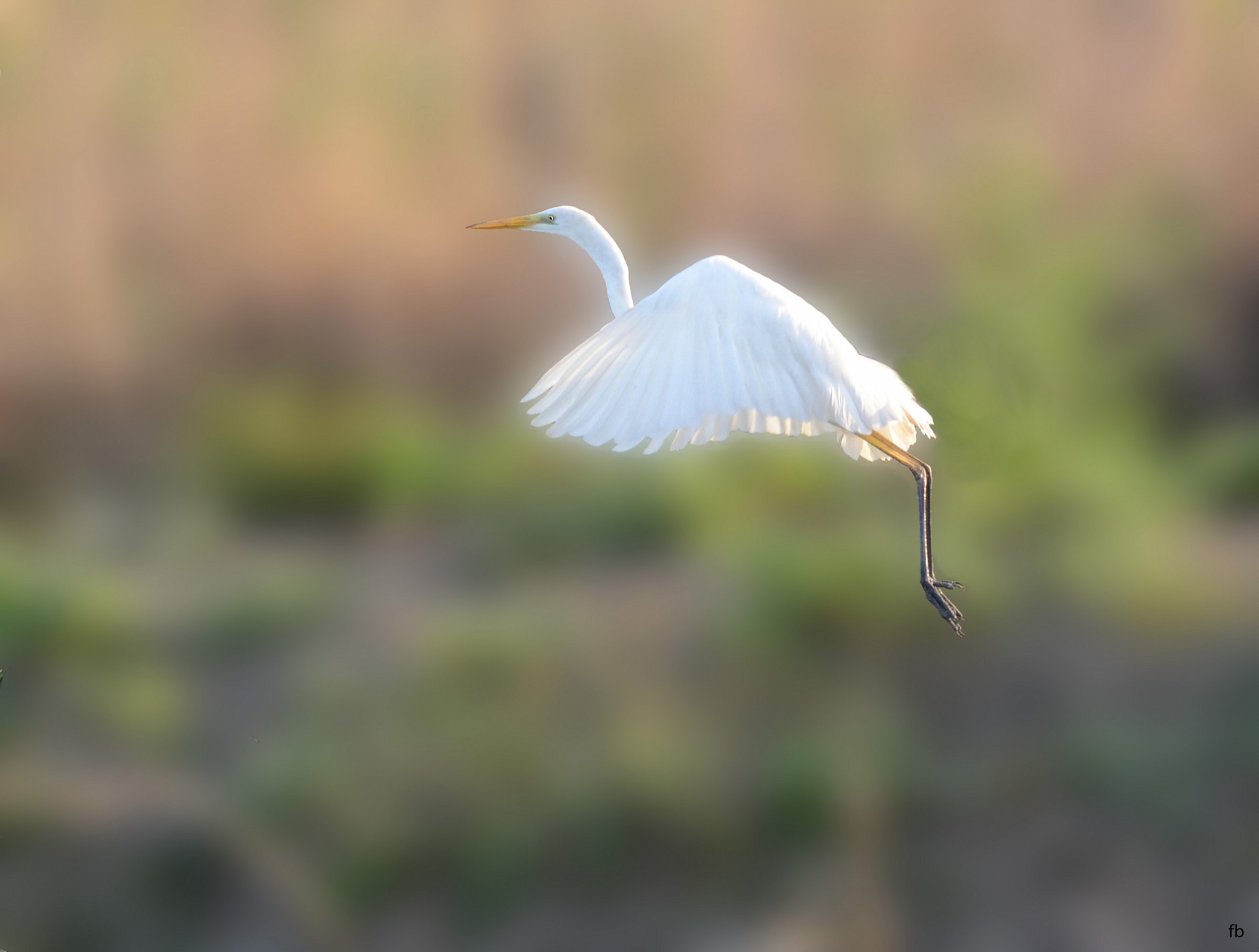 partenza per il volo