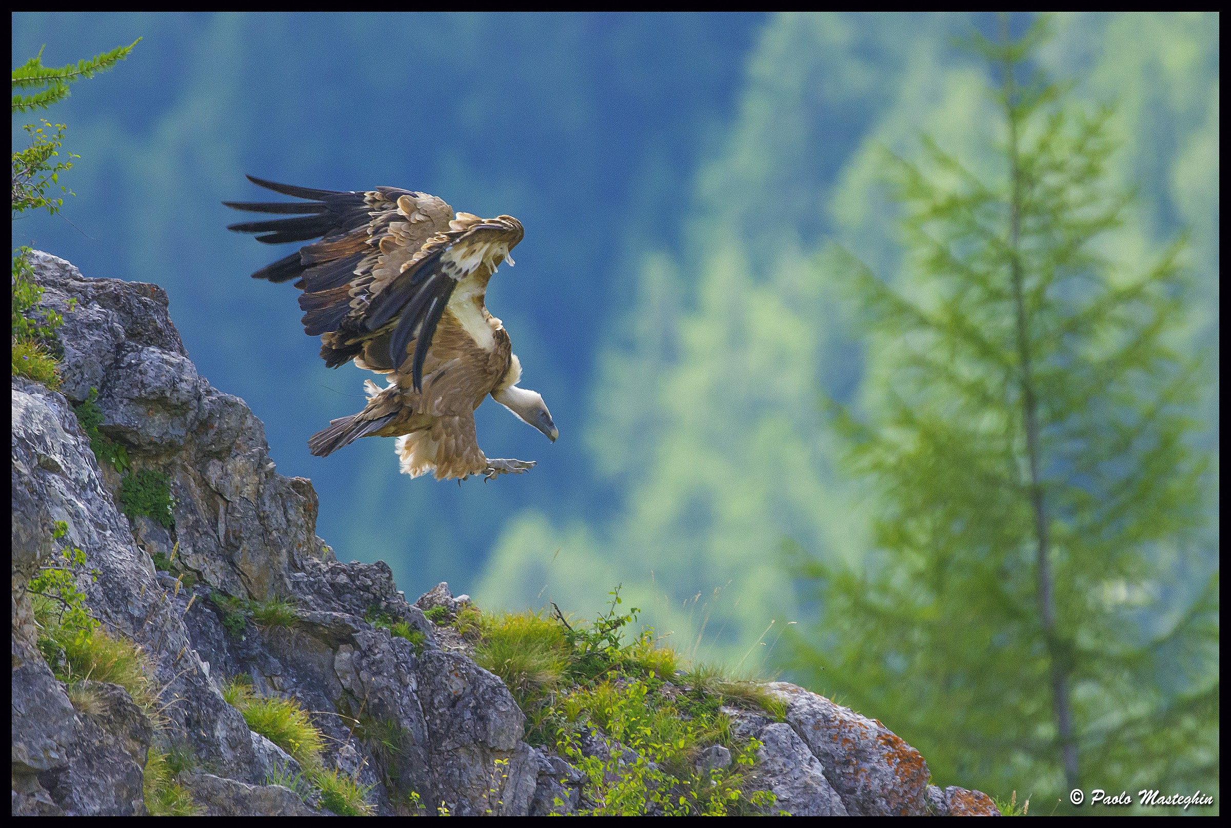 Sotto a chi tocca.....