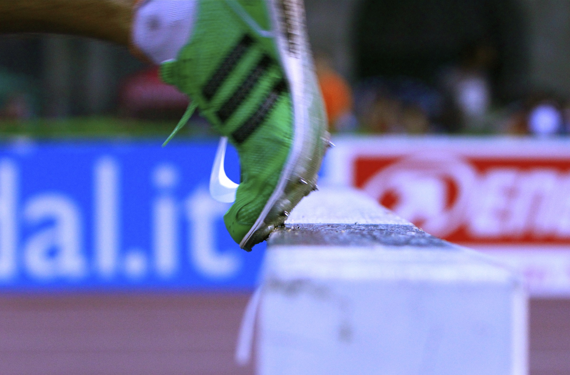 Milano 2013 - 3000 siepi