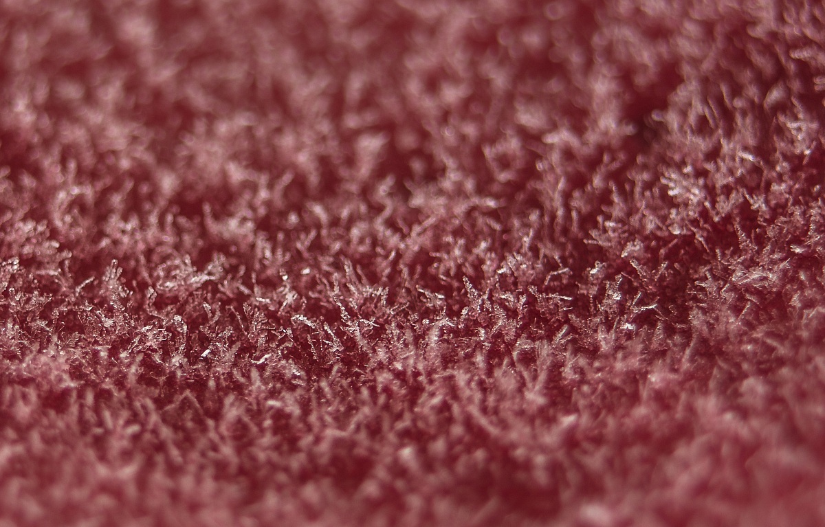 Ice-flavored berries