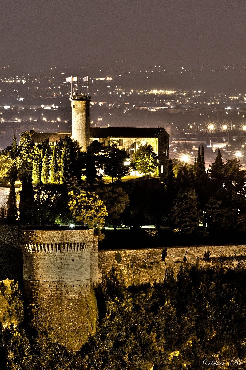 Spotlight on the Middle Ages