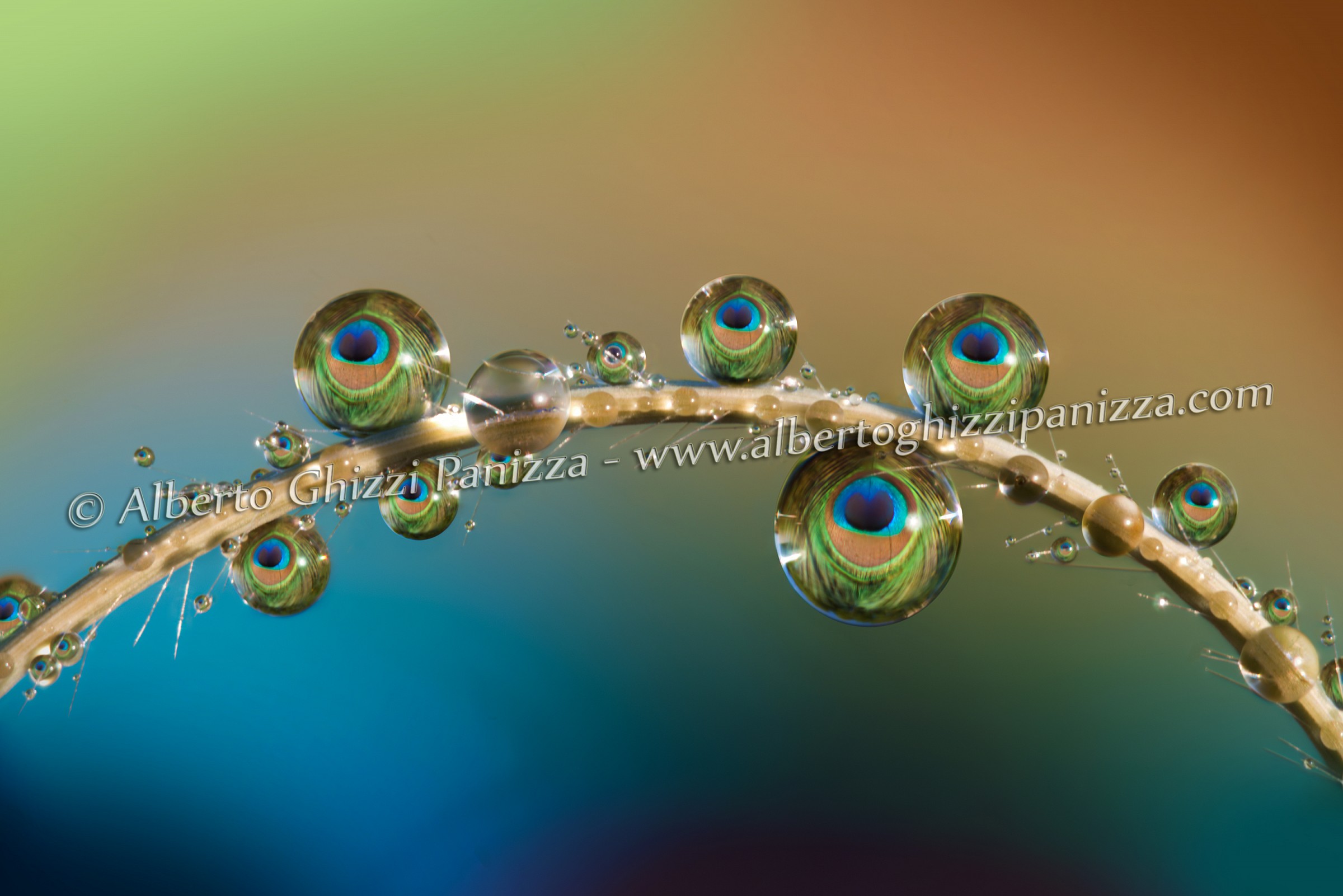 Riflessi nelle gocce