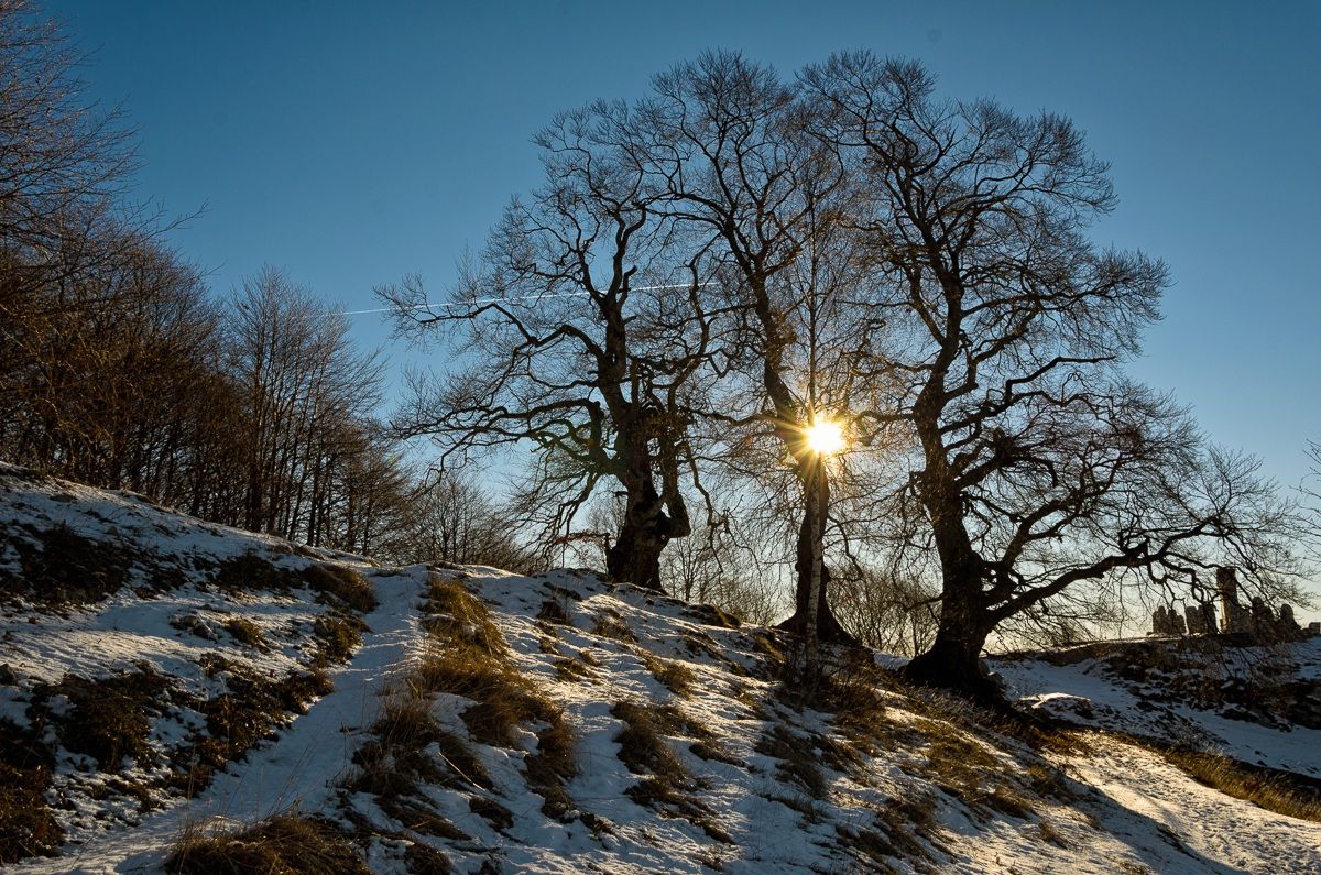 I Guardiani del Sole