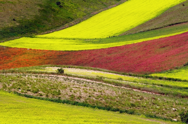 Castelluccio of Norcia
