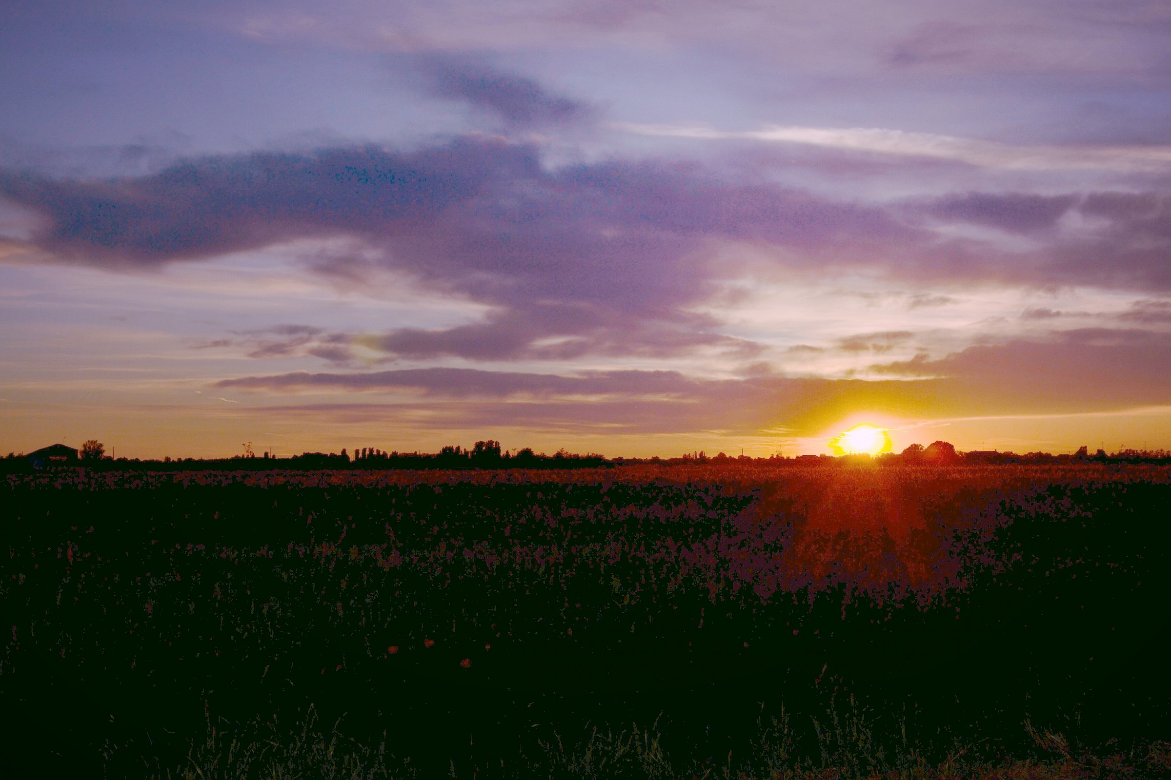 Massa Fiscaglia - campagna al tramonto