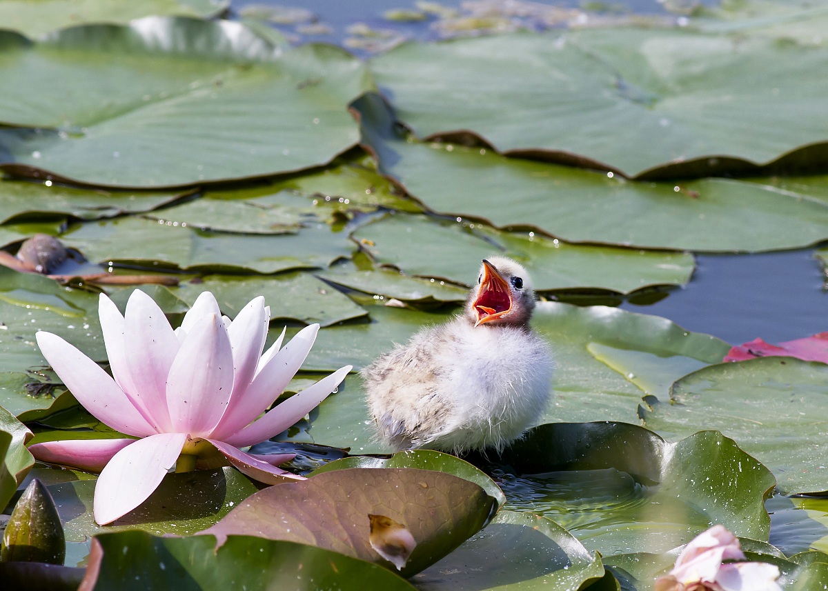 At dawn vinceroooo ...