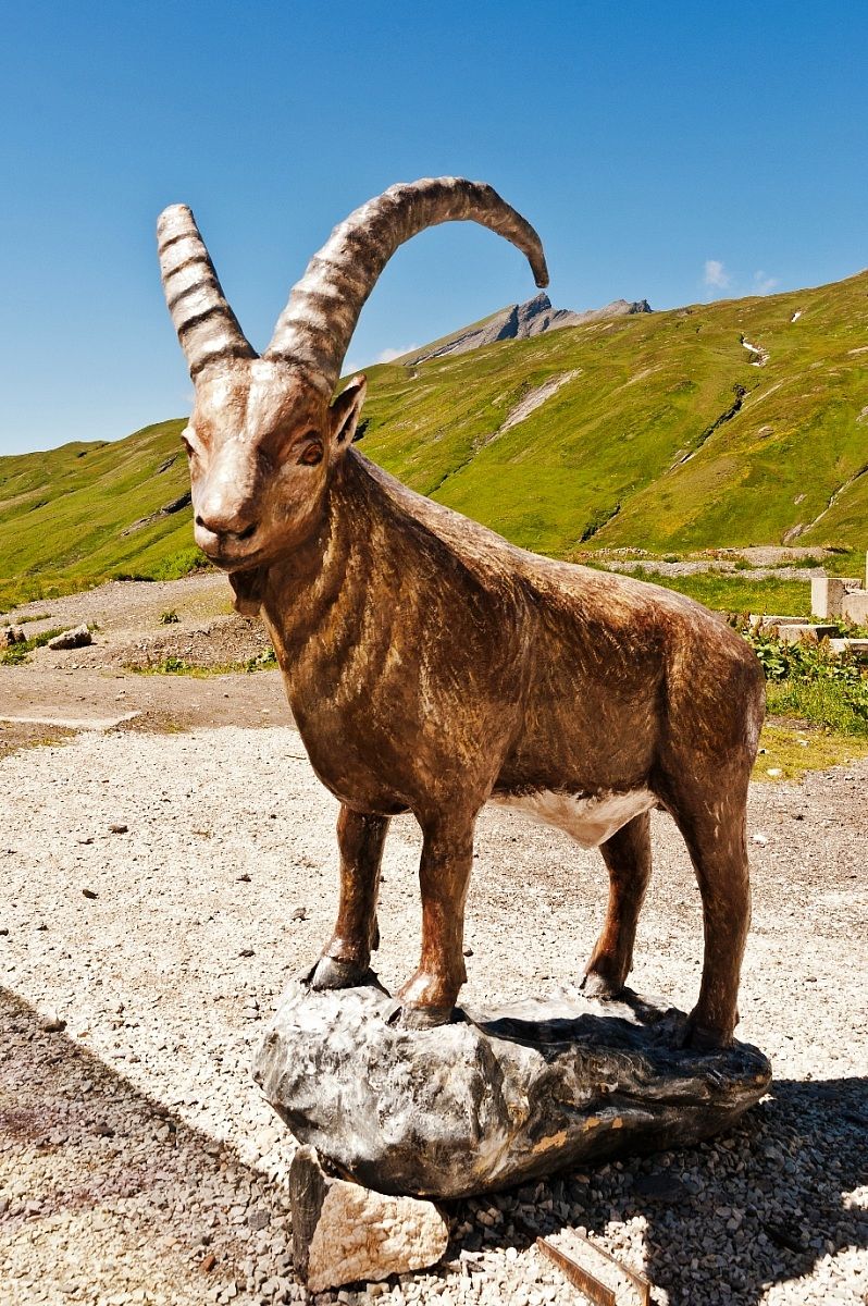 Punta .. to .. tip!!