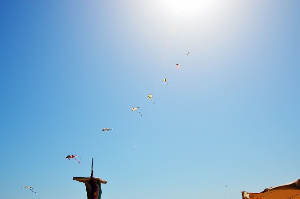 Flying into the sun.