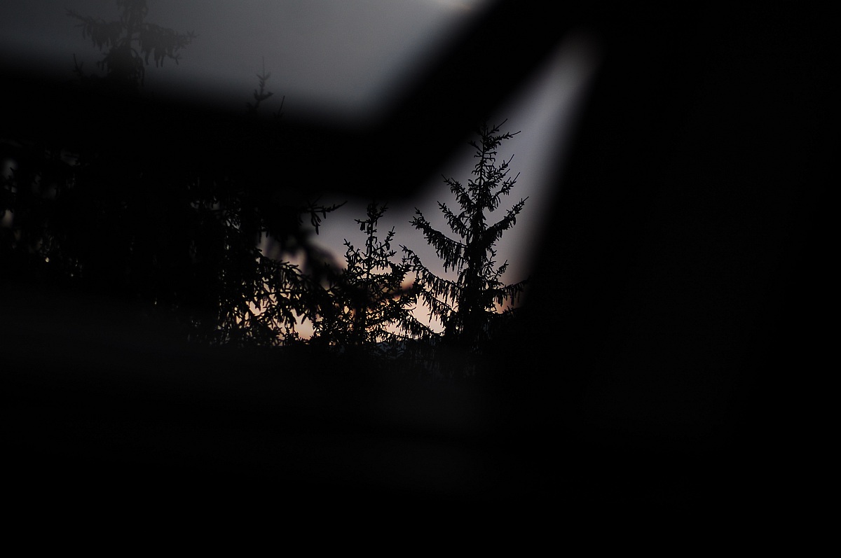 Alberi da una mansarda ;)