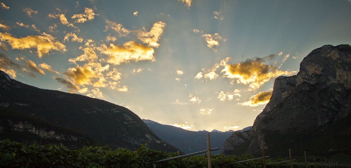 landscape ....... (before pp).