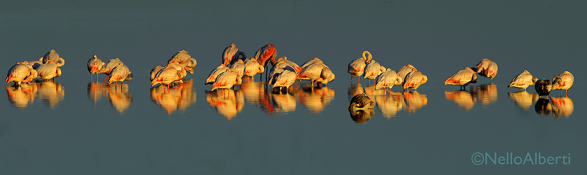 la quiete della laguna !!