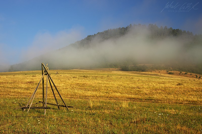 Morning awaking iii.